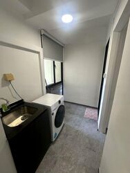 The Tanamera (D16), Condominium #449839301